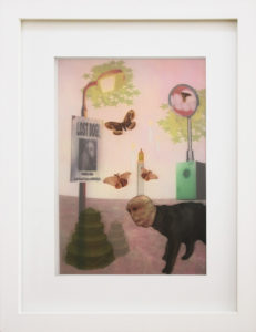 Oscar Keogh Show some restraint when rifling through the lost and found box 2018 mixed media installation 43 x 33 cm