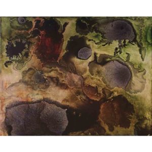 Sue Greeff cellular flowers 2019 Ink and Pigment on Board 38 x 30 cm